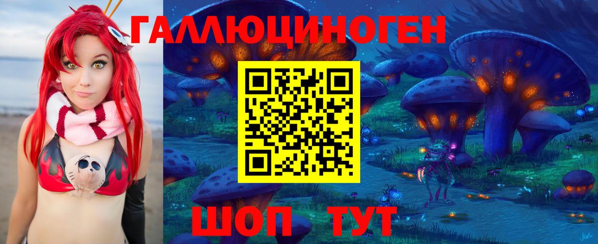Псилоцибиновые грибы Psilocybe Ханты-Мансийск